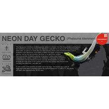 Load image into Gallery viewer, Neon Day Gecko (Phelsuma klemmeri) - Black Series Vivarium Label