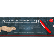 Load image into Gallery viewer, Stranger Species Special Edition Halloween Vivarium Label