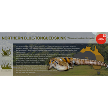 Load image into Gallery viewer, Northern Blue-Tongued Skink (Tiliqua scincoides intermedia) - Black Series Vivarium Label