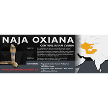 Load image into Gallery viewer, Central Asian Cobra (Naja oxiana) Standard Vivarium Label