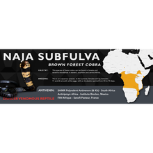 Load image into Gallery viewer, Brown Forest Cobra (Naja subfulva) Standard Vivarium Label