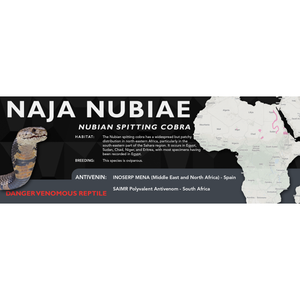 Nubian Spitting Cobra (Naja nubiae) Standard Vivarium Label