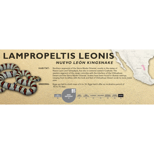 Nuevo León Kingsnake (Lampropeltis leonis) Standard Vivarium Label