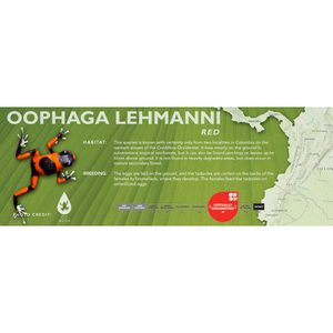 Oophaga lehmanni - Standard Vivarium Label