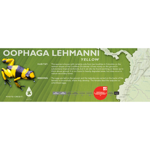 Oophaga lehmanni - Standard Vivarium Label