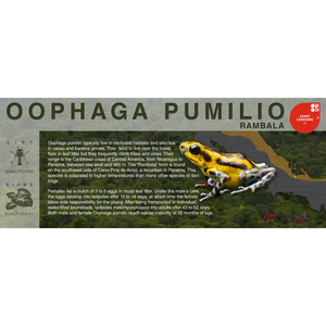 Oophaga pumilio "Rambala" - Black Series Vivarium Label