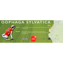 Load image into Gallery viewer, Oophaga sylvatica - Standard Vivarium Label