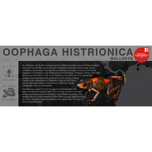 Oophaga histrionica "Bullseye" - Black Series Vivarium Label