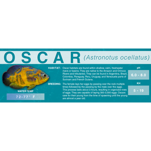 Oscar (Astronotus ocellatus) - Standard Aquarium Label