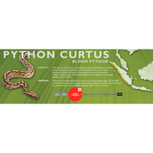 Load image into Gallery viewer, Blood Python (Python curtus) Standard Vivarium Label