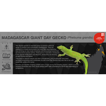 Load image into Gallery viewer, Madagascar Giant Day Gecko (Phelsuma grandis) - Black Series Vivarium Label