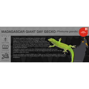 Madagascar Giant Day Gecko (Phelsuma grandis) - Black Series Vivarium Label