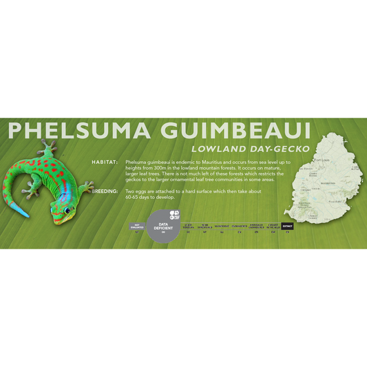 Lowland Day Gecko (Phelsuma guimbeaui) Classic Vivarium Label