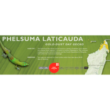 Load image into Gallery viewer, Gold-Dust Day Gecko (Phelsuma laticauda) Standard Vivarium Label