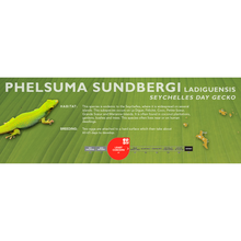Load image into Gallery viewer, Seychelles Day Gecko (Phelsuma sundbergi) Standard Vivarium Label