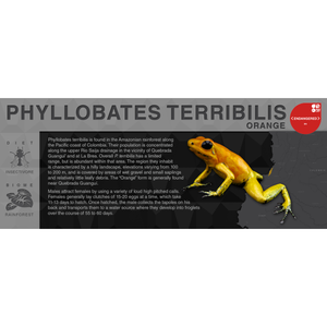 Phyllobates terribilis "Orange" - Black Series Vivarium Label
