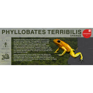 Phyllobates terribilis "Orange" - Black Series Vivarium Label