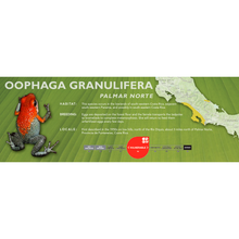 Load image into Gallery viewer, Oophaga granulifera - Standard Vivarium Label