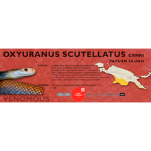 Load image into Gallery viewer, Papuan Taipan (Oxyuranus scutellatus canni) Standard Vivarium Label