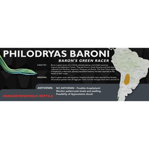 Baron's Green Racer (Philodryas baroni) Standard Vivarium Label