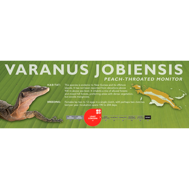 Peach-Throated Monitor (Varanus jobiensis) Standard Vivarium Label