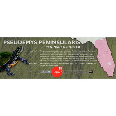 Peninsula Cooter (Pseudemys peninsularis) - Standard Vivarium Label