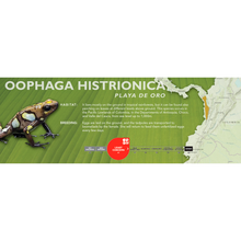 Load image into Gallery viewer, Oophaga histrionica - Standard Vivarium Label