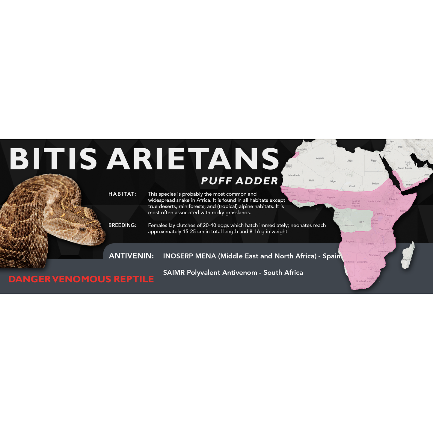 Puff Adder (Bitis arietans) Classic Vivarium Label