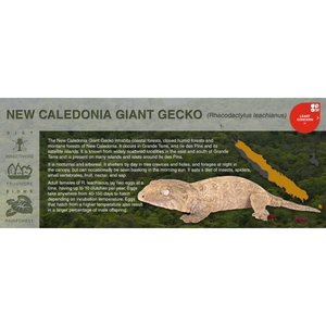 New Caledonia Giant Gecko (Rhacodactylus leachianus) - Black Series Vivarium Label