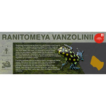 Load image into Gallery viewer, Ranitomeya vanzolinii - Black Series Vivarium Label