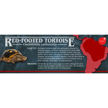 Load image into Gallery viewer, Stranger Species Special Edition Halloween Vivarium Label