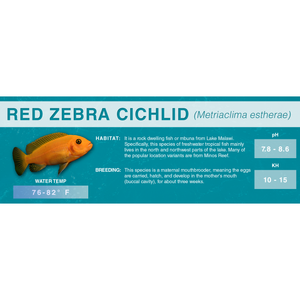 Red Zebra Cichlid (Maylandia estherae) - Standard Aquarium Label