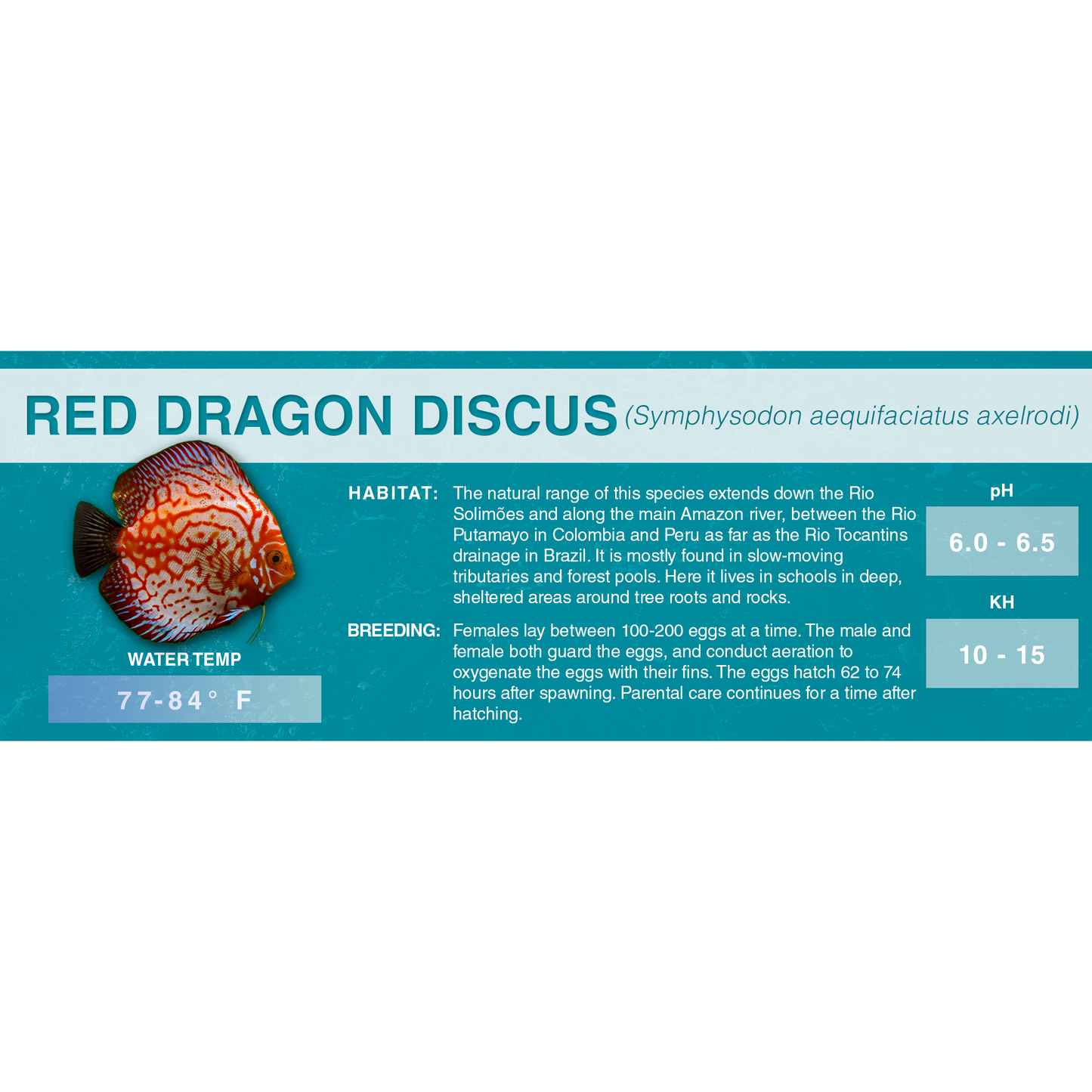 Blue or Brown Discus (Symphysodon aequifasciatus) - Classic Aquarium Label