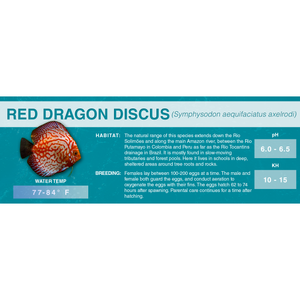 Blue or Brown Discus (Symphysodon aequifasciatus) - Standard Aquarium Label