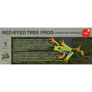 Red-Eyed Tree Frog (Agalychnis callidryas) - Black Series Vivarium Label