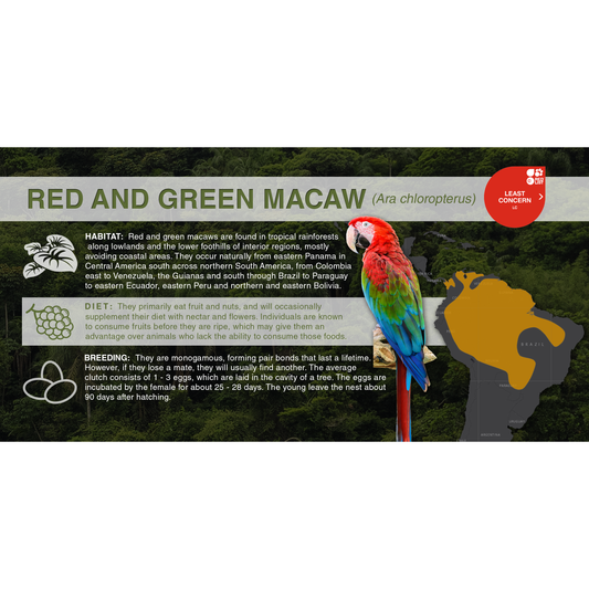 Red and Green Macaw (Ara chloropterus) - Aluminum Sign