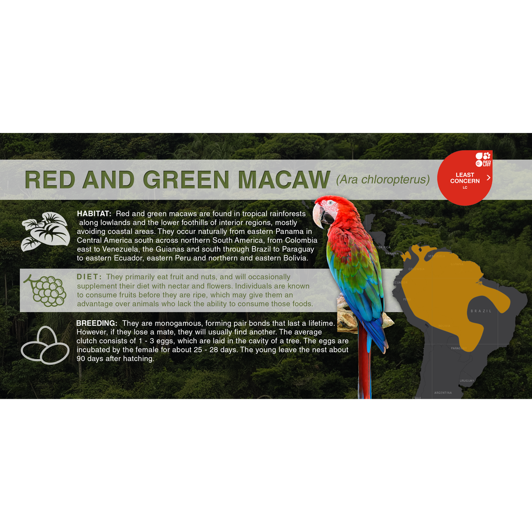 Red and Green Macaw (Ara chloropterus) - Aluminum Sign