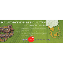 Load image into Gallery viewer, Reticulated Python (Malayopython reticulatus) Standard Vivarium Label