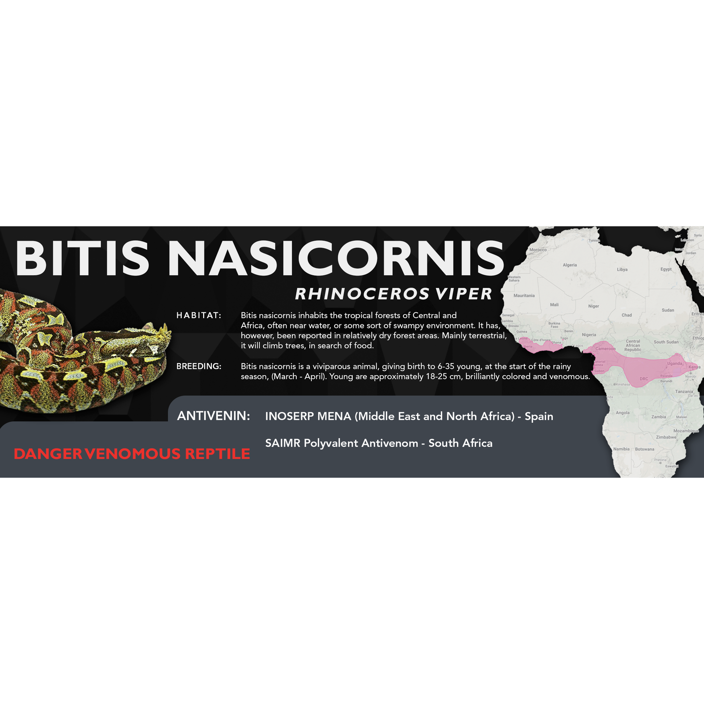 Rhinoceros Viper (Bitis nasicornis) Standard Vivarium Label