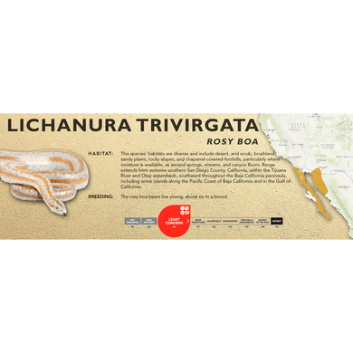 Rosy Boa (Lichanura trivirgata) Standard Vivarium Label
