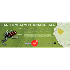 Ranitomeya ventrimaculata - Standard Vivarium Label