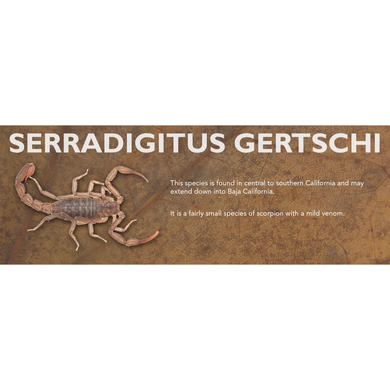 Serradigitus gertschi - Scorpion Label