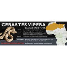 Load image into Gallery viewer, Sahara Sand Viper (Cerastes vipera) Standard Vivarium Label
