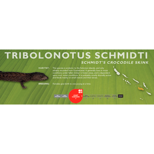 Schmidt's Crocodile Skink (Tribolonotus schmidti) Standard Vivarium Label