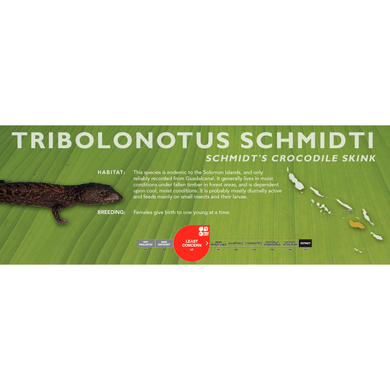 Schmidt's Crocodile Skink (Tribolonotus schmidti) Standard Vivarium Label
