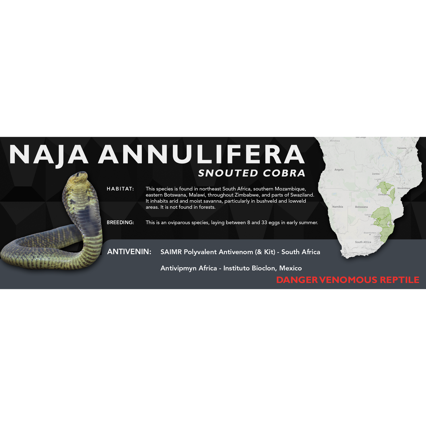 Snouted Cobra (Naja annulifera) Classic Vivarium Label