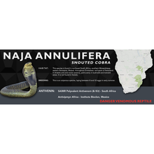 Load image into Gallery viewer, Snouted Cobra (Naja annulifera) Standard Vivarium Label