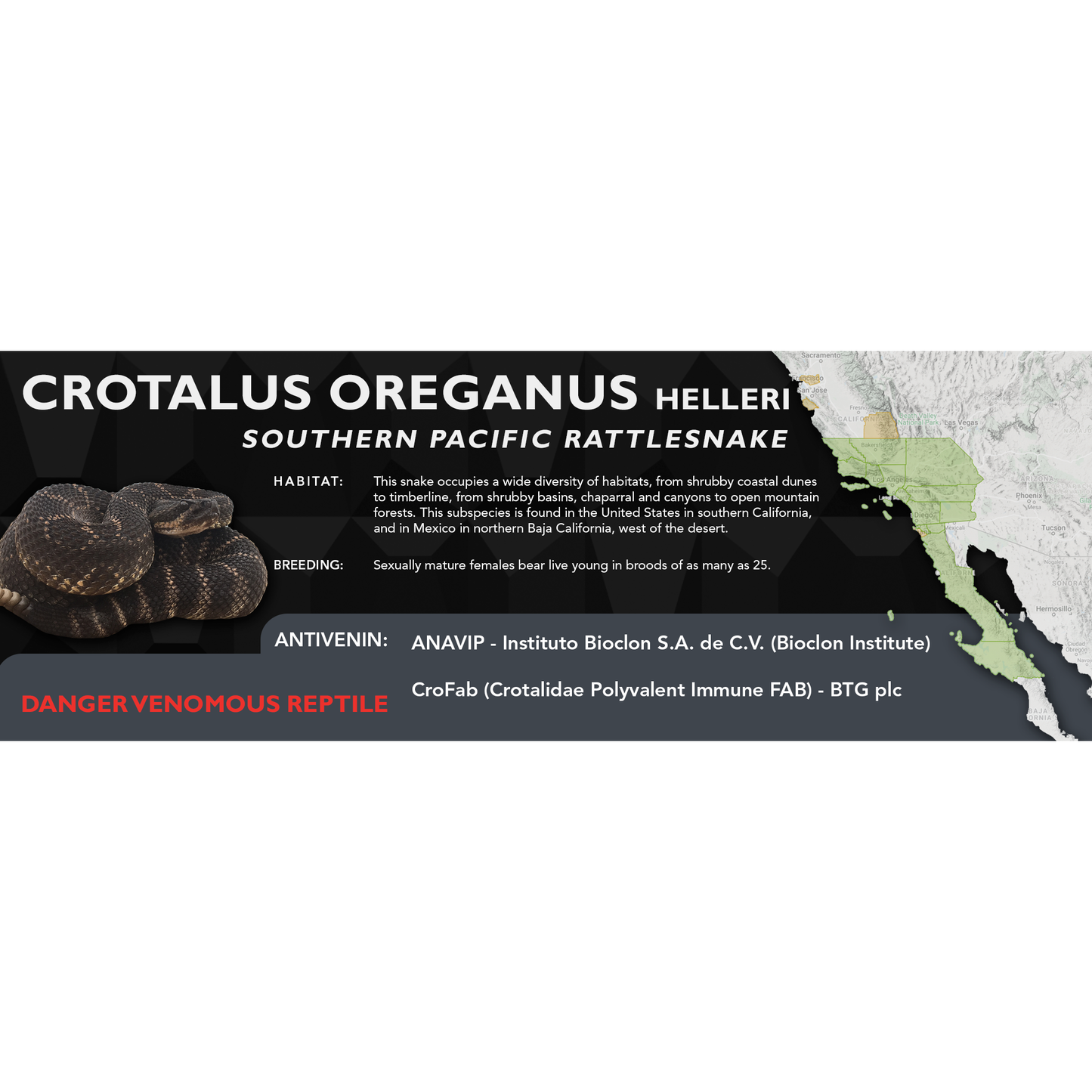 Southern Pacific Rattlesnake (Crotalus oreganus helleri) Classic Vivarium Label