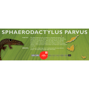 Sphaerodactylus parvus Standard Vivarium Label