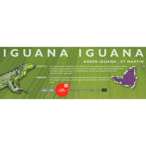 Green Iguana (Iguana iguana) Standard Vivarium Label
